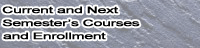 Current and Next Semester's Courses and Enrollment